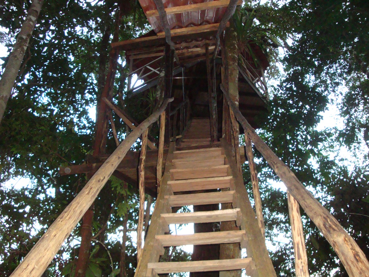 Treehouse stairway (1)