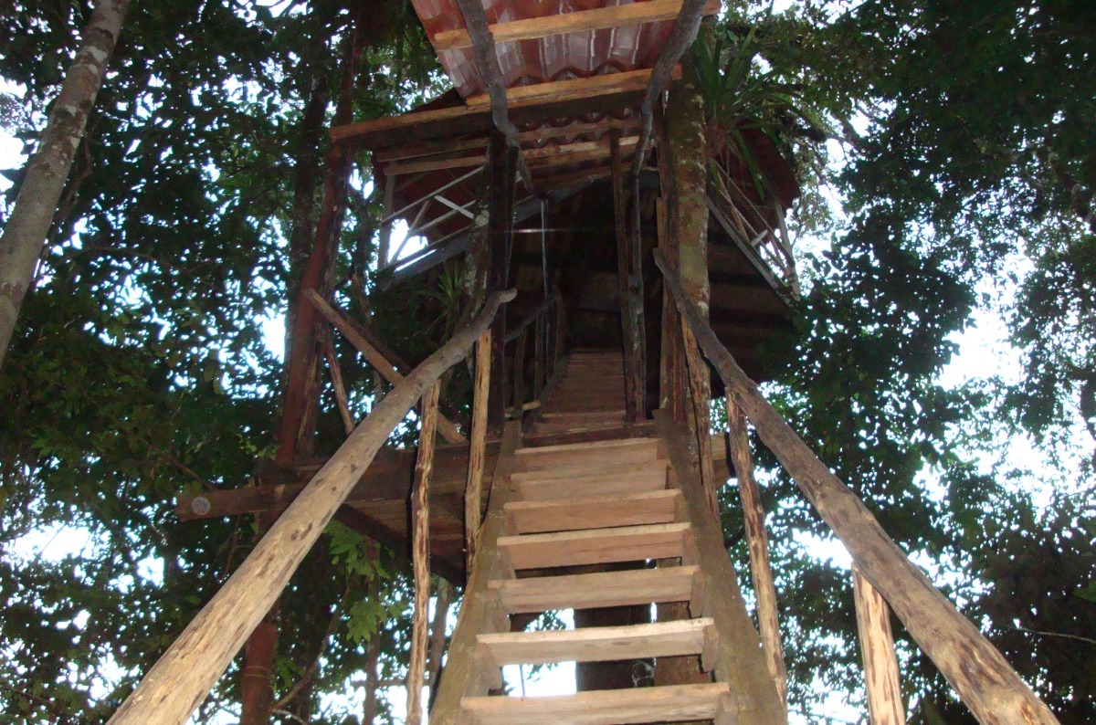 Treehouse-stairway-1 (1)